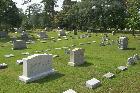 Cemetery.jpg